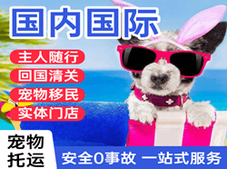 朝阳空运公司国际宠物托运 【国